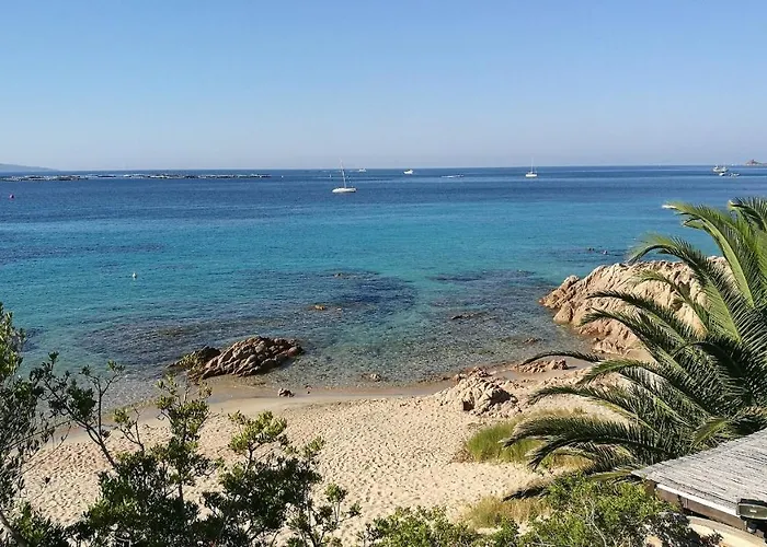 Vaiana Avec Piscine En Bord De * アジャクシオ